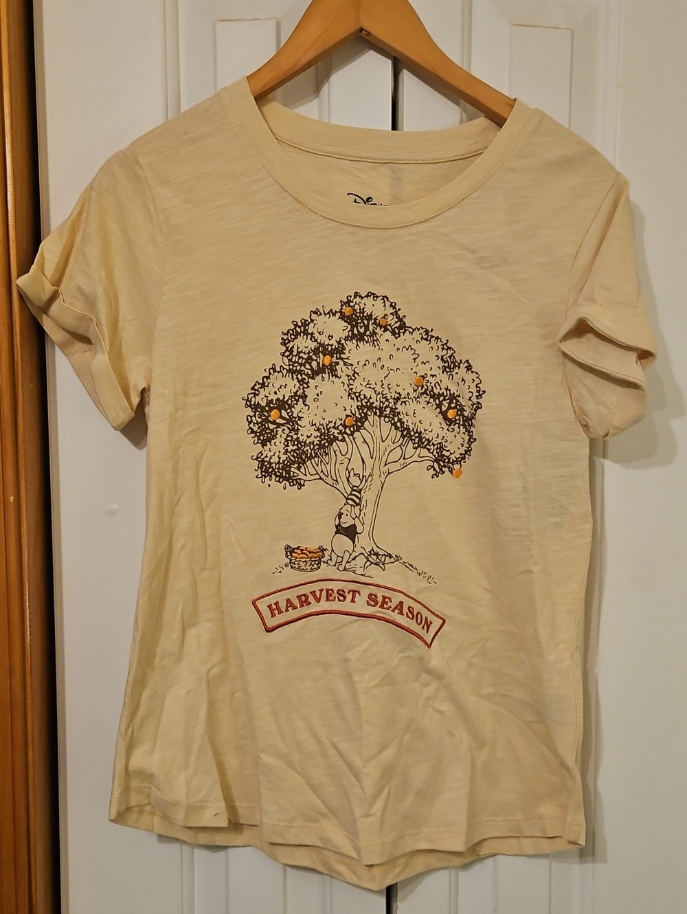 Disney Winnie the Pooh Harvest Season Fall Graphic Tee S